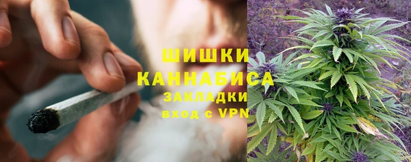 метамфетамин Ельня