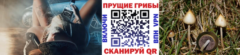 Галлюциногенные грибы Magic Shrooms Еманжелинск